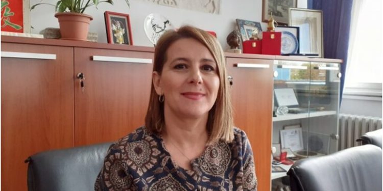 Susret kultura: Prijevodi savremene turske književnosti na bosanski jezik