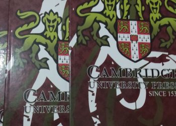 Skibidi, delulu, broligarchy… među 6200 novih riječi uvrštenih u “Cambridge English Dictionary”