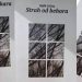 Kultura gladi u zbirci “Strah od behara” Refika Ličine